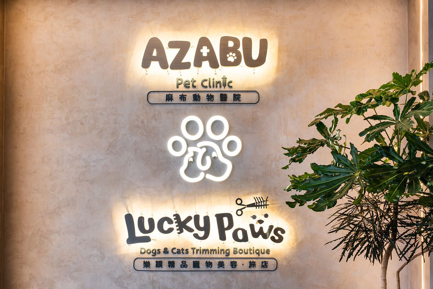 麻布動物醫院與樂蹼精品寵物美容旅店